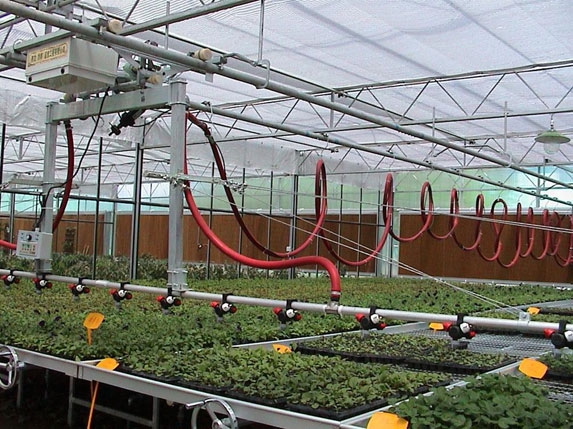 花卉養殖大棚骨架圖片
