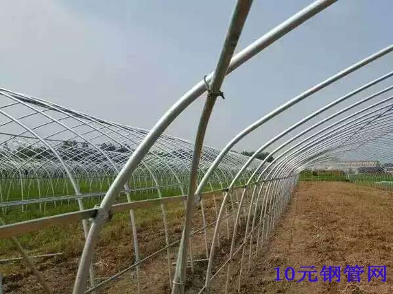 6分熱浸鋅大棚骨架圖片