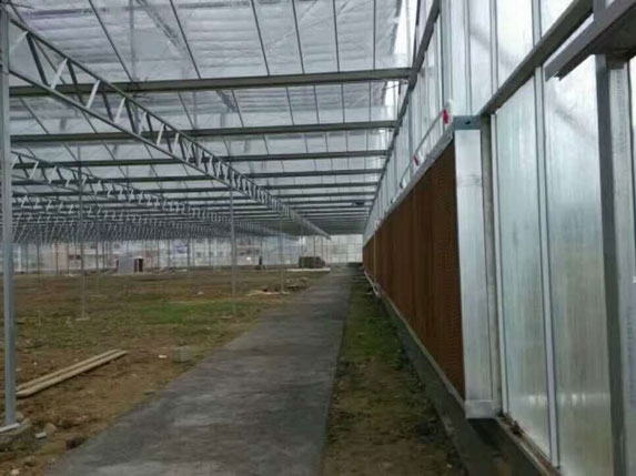 陽關板智能連棟溫室大棚圖片